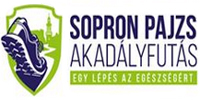 Sopron Pajzs