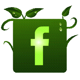 http://1.1.1.3/bmi/www.zoldgomb.hu/upload/programDoc/1511/green_facebook_logo2.png